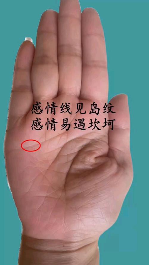 感情线出现岛纹代表什么，容易婚姻不幸吗？