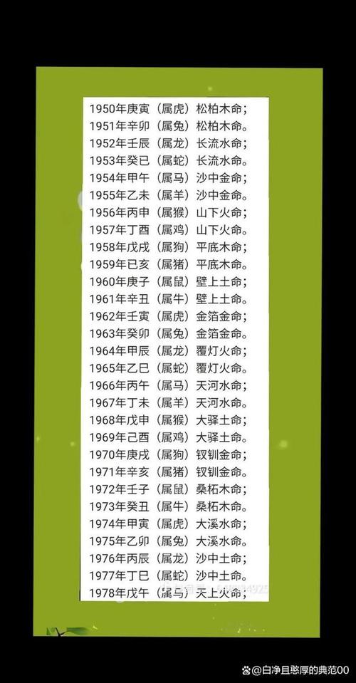 2009年属牛人五行属什么