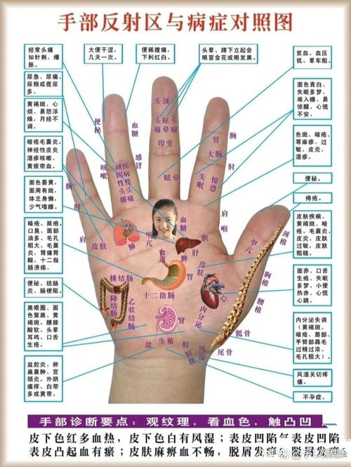 从掌纹看健康，看宝宝掌纹知健康