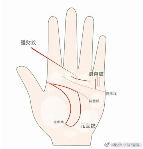 财运线出现了横纹干扰，对一生财运有何影响？