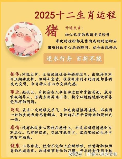 1995年属猪人2024年运势及运程 95年属猪的29岁大灾大难