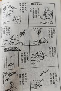 属鼠最苦命出生时辰