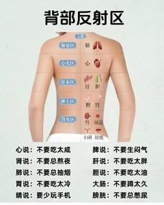 不同的背部形态看命运