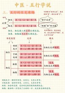 五行生克乘侮