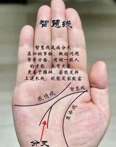 手相分析智慧线短且分叉的女生：想法多变意志力差！