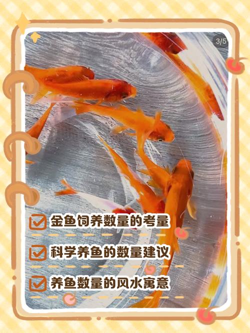 做生意养鱼养几条最好