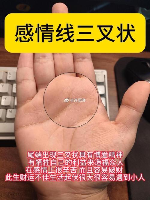 感情线分三叉的人感情极好