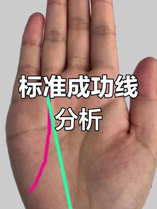 女成功线手相图解 女人的成功线怎么看
