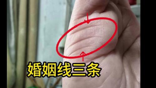 三条婚姻线第一条最长最深代表什么