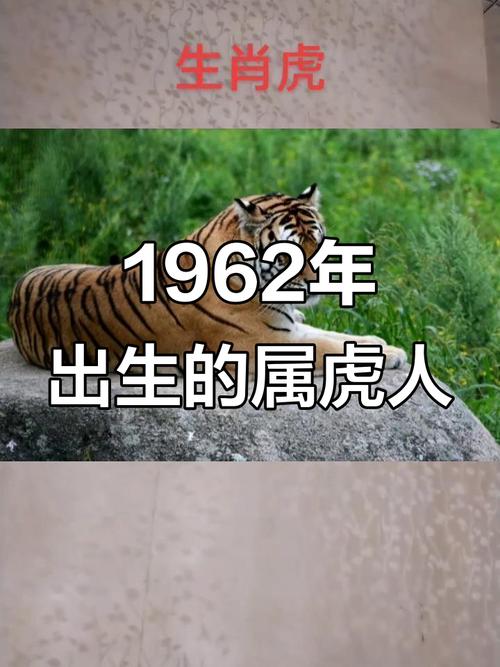62年属虎女人晚年是孤独命吗 晚年好运命运上等