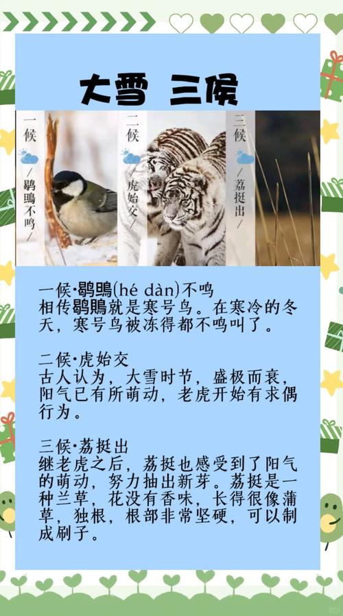 2023年12月7日大雪节气喜神方位查询 这天日子好不好