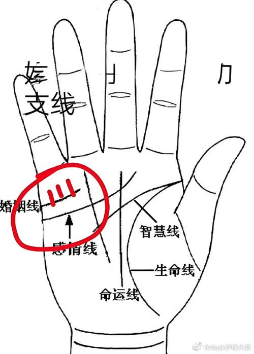 财运线与婚姻线相交，意味着婚姻会成为财运的转折点！