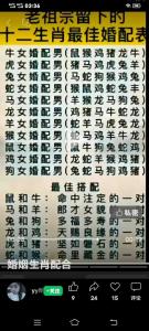 属狗的属相婚配宜忌 生肖狗女配生肖猪男合适吗