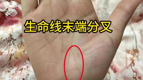 手相生命线末端有分叉好不好？
