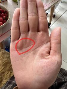 女人手相感情线有岛纹代表什么？感情易生变故？