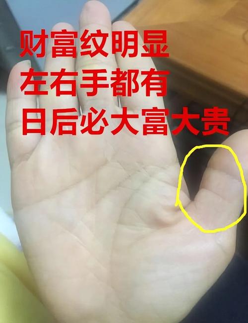 即将发横财人的手相 成功在望