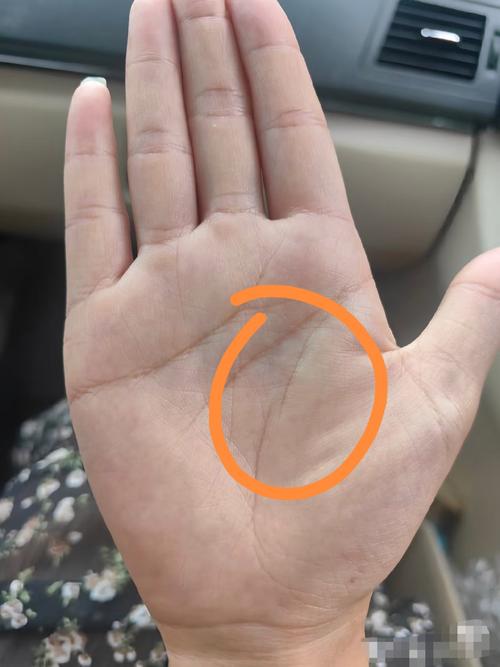 不好的手相有哪些图片 生命线断开身体差