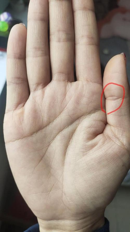 亿万富翁的手相特征 手掌有凤眼纹