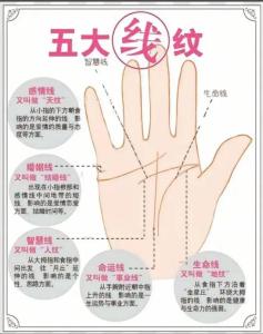 太阳线与财运线在一起代表什么 两者区别