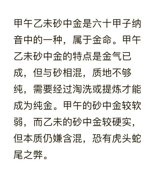 沙中金命的解析