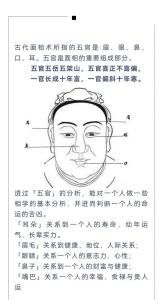 五官看面相算命图解男 男人五官面相大全