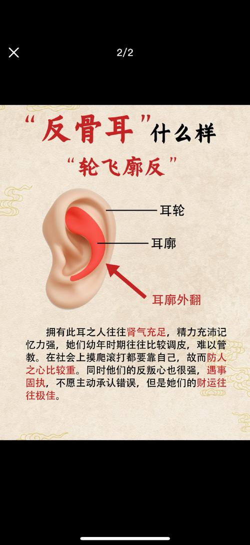 耳朵长的靠下的命