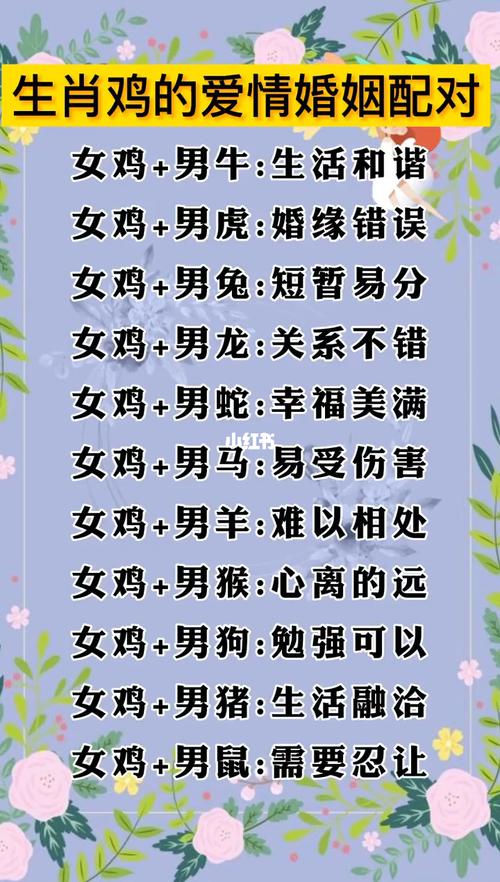 属鸡的属相婚配表 鸡的生肖和哪个生肖最配