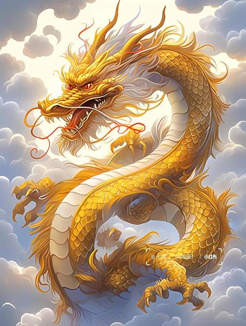 76年属龙48岁以后的一生命运 1976属龙48岁运气