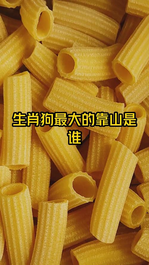 属狗人一生最大的靠山是哪个生肖 属狗人一生最大的靠山是谁