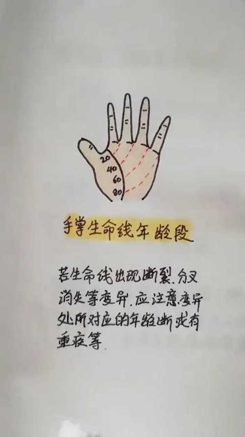 你还在认为，生命线越短寿命就越短吗？