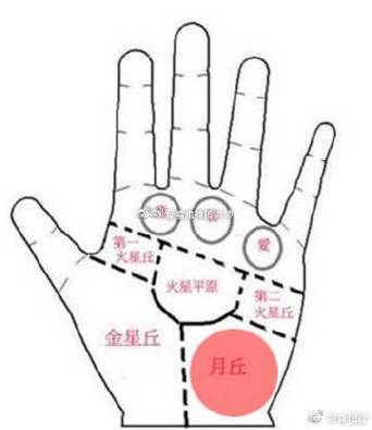 月丘上的纹路图解：月丘有井字纹的手相