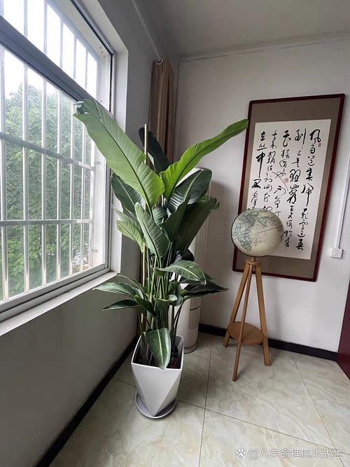 影响婚姻的家庭装修风水 假花不摆家中