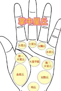 手相木星丘在什么位置？木星丘丰满，功成名就！