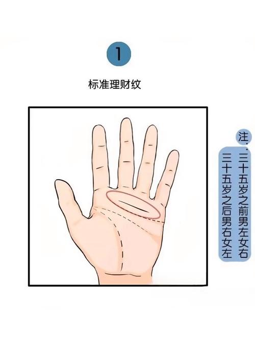 财富纹有哪几种呢