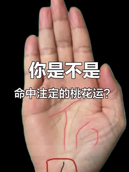 三种桃花最旺的手相其中有你吗