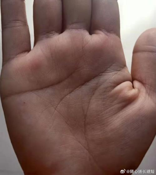 智慧线很短的人事业不好吗