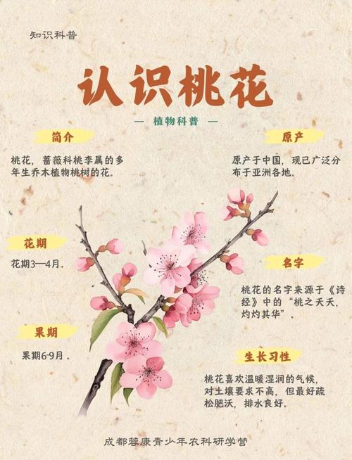 哪些月份出生的人易招烂桃花