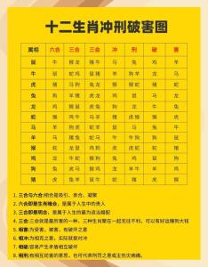 不同属相的五行归属