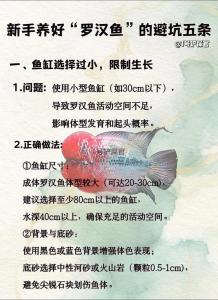罗汉鱼养殖方法