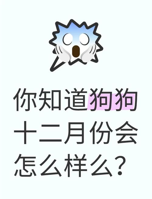 属狗的人2013年12月运势