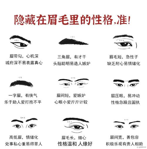 眉毛看相 从眉毛看一个男人的性格