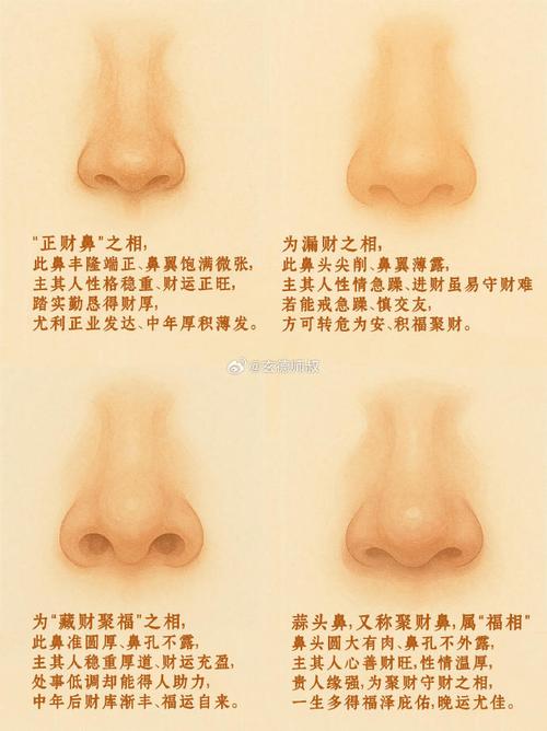 鼻子主财运,怎么从鼻子面相看财运