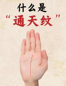 通天纹手相什么意思 财运发展好富甲一方
