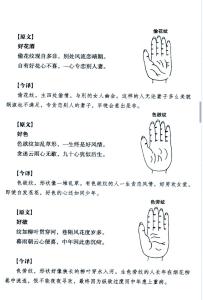 什么手纹的男人命好 如何解析男人手中的掌纹