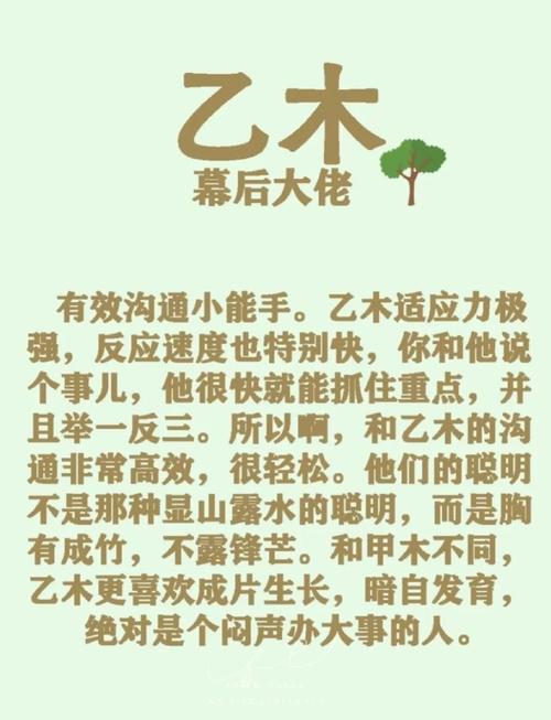 乙木生于那年