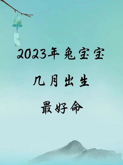 兔宝宝2023年是什么命 喜欢随遇而安
