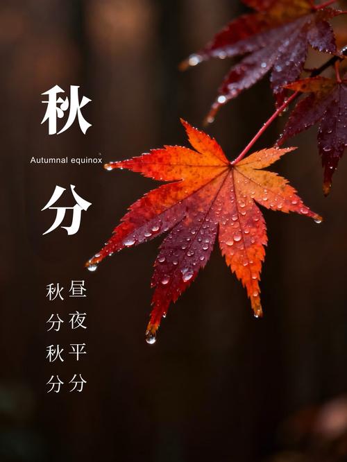 在秋分出生的人 善言健谈热忱坦率