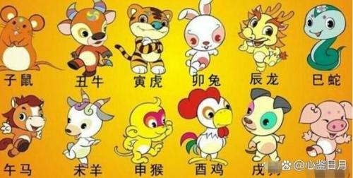 爸爸属猴妈妈属鼠孩子属鸡好不好 性格相辅相成