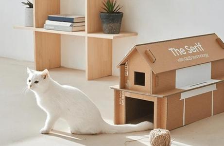 安置宠物小屋的禁忌