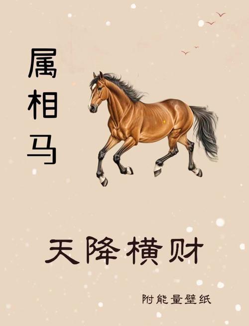 54年属马未来三年运势